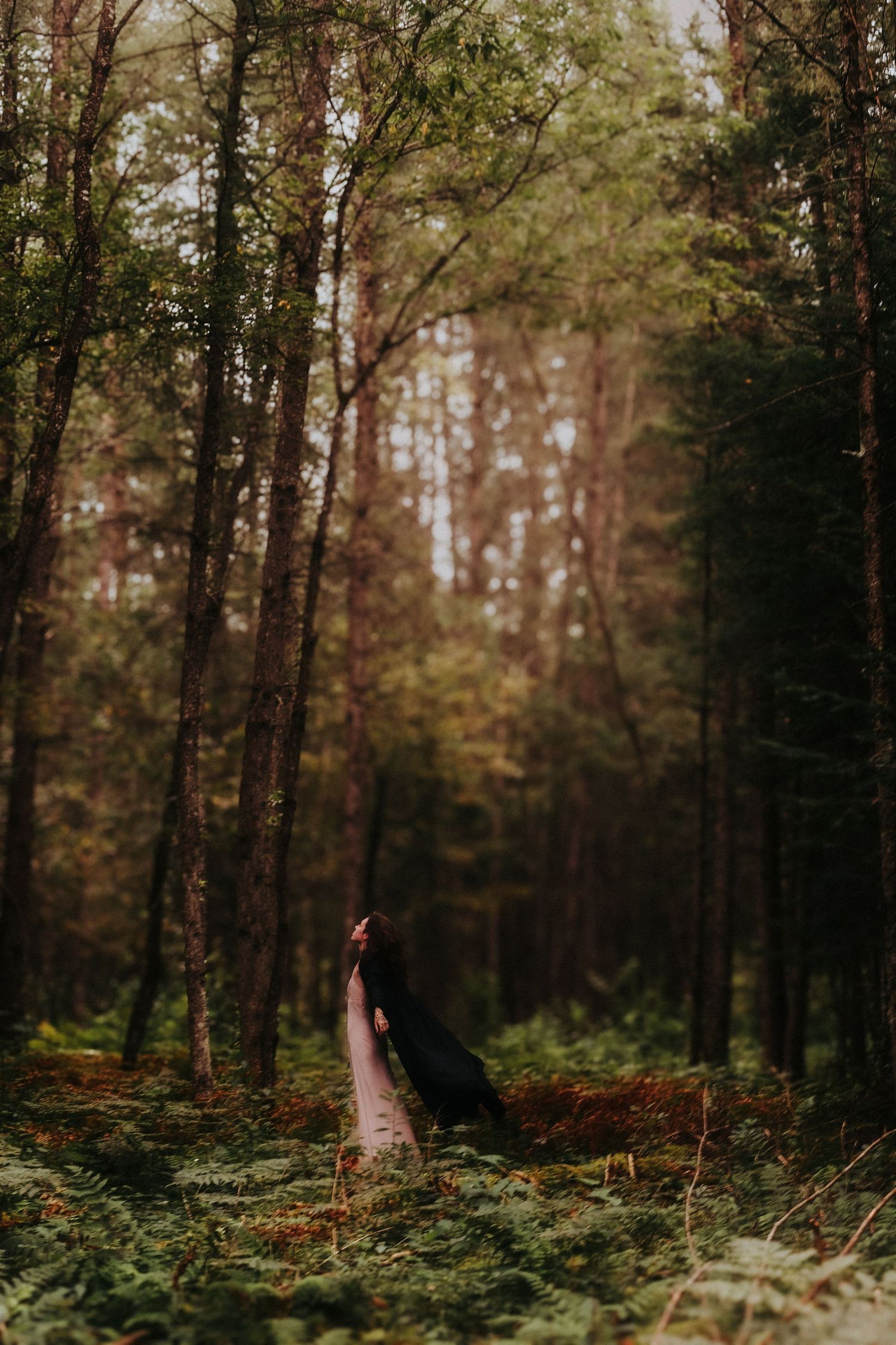A mysterious figure stands in a misty autumn forest surrounded by tall trees and ferns in moody lighting.