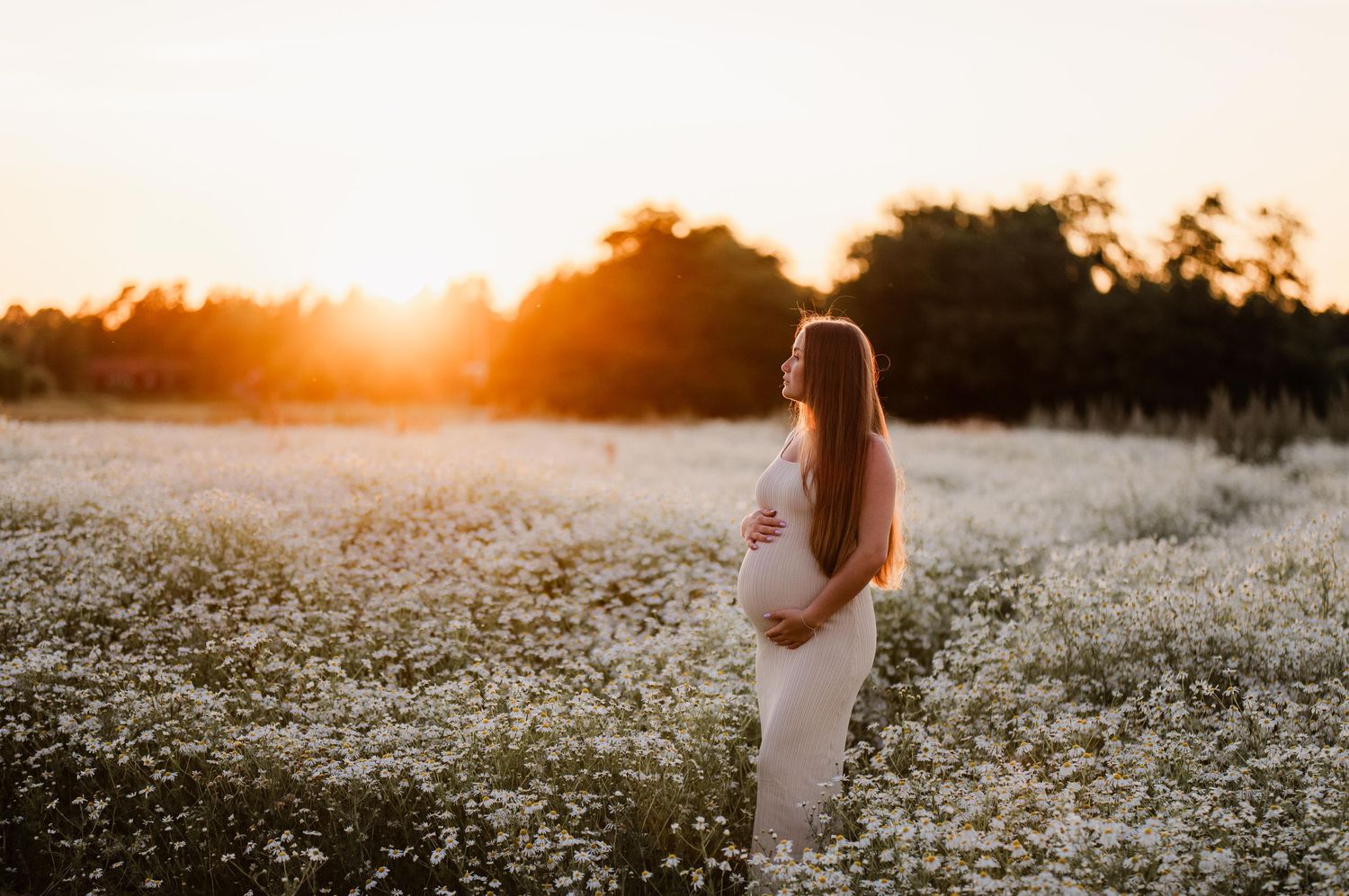 Gravid kvinna i en beige tight klänning på en vit blommig äng i solnedgången