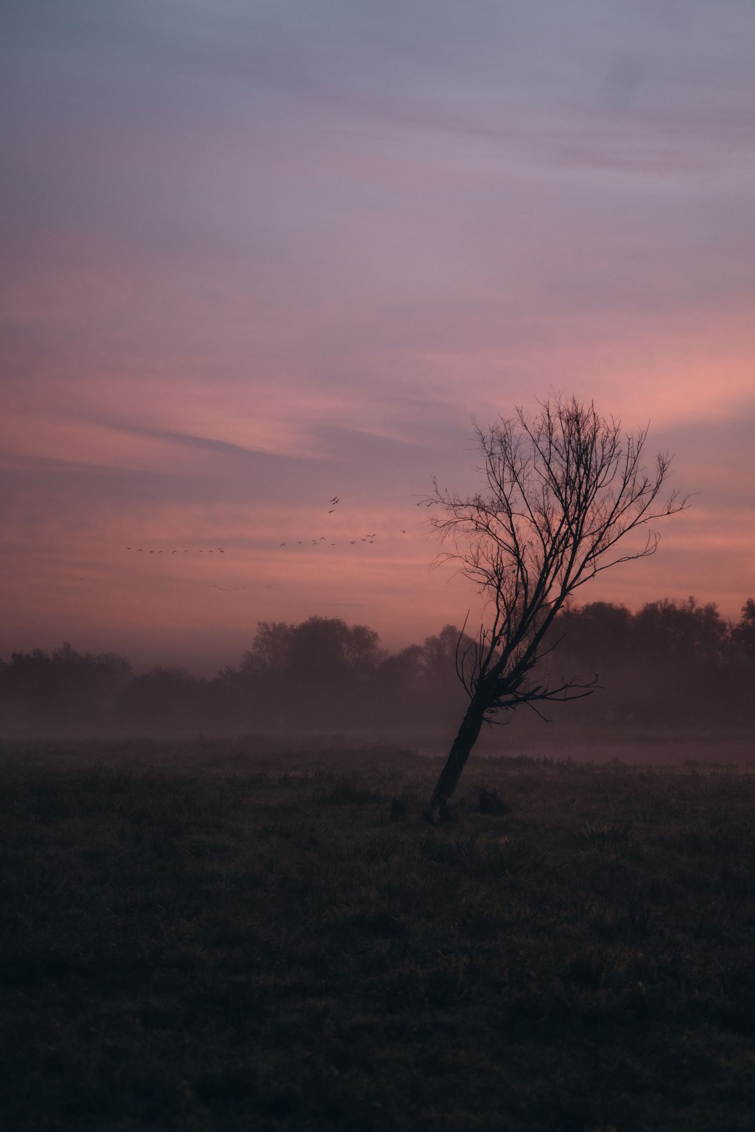 Printshop | Digital prints | Nature photography | Landscape Photography | Digitale prints | Prints | Natuur foto's