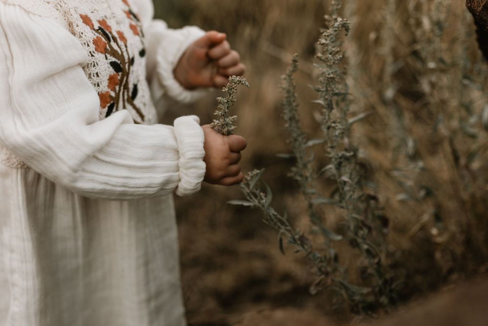 Close-up of small hands in white sleeves touching dried plants against a rocky backdrop.