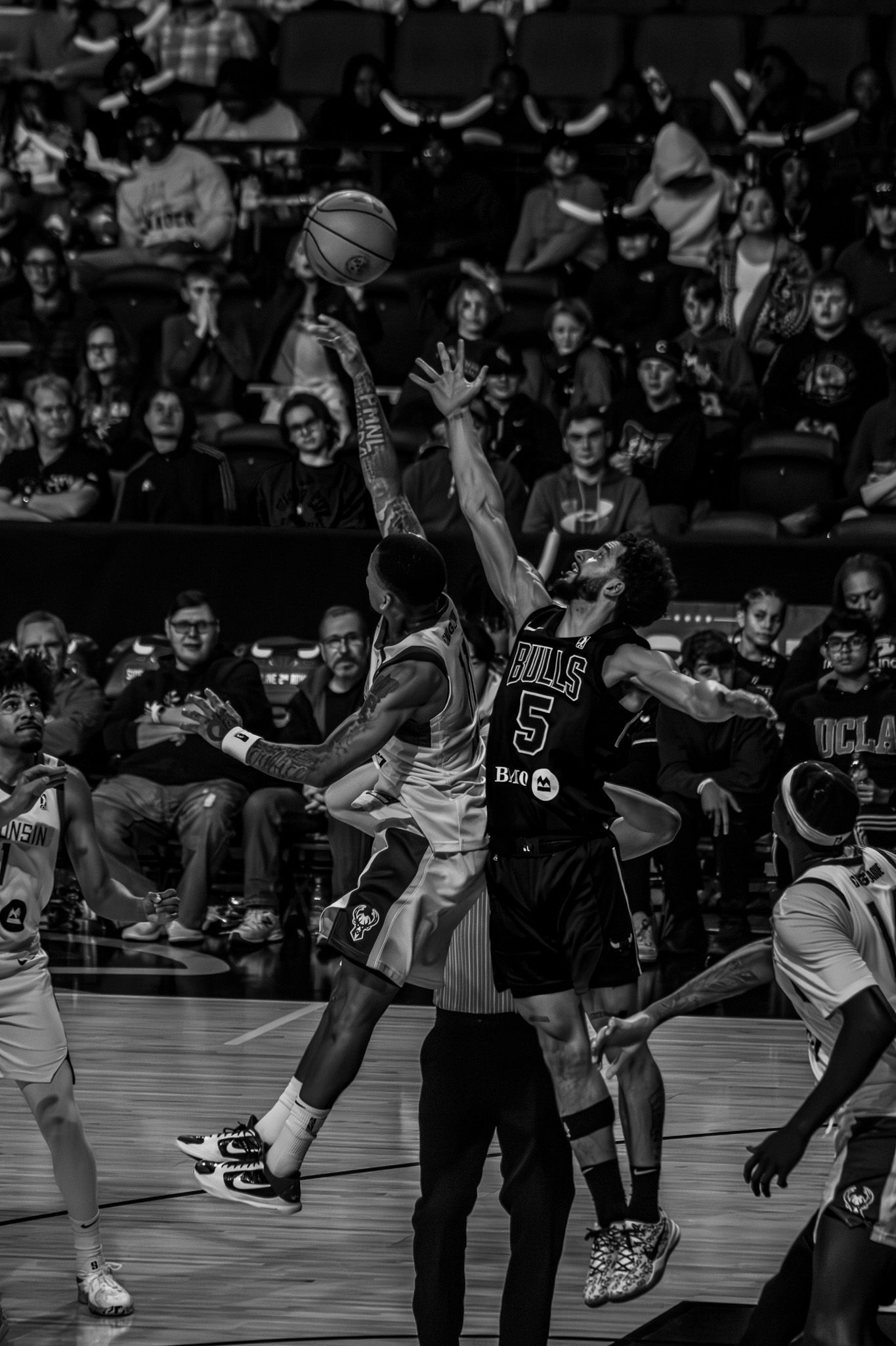 Jumpball for the Windy City Bulls and Wisconsin Herd G-League Basketball Teams.