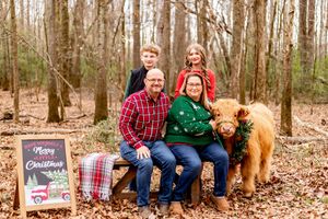 Family of four poses with a mini Highland cow for a festive Christmas photo in a woodland setting.