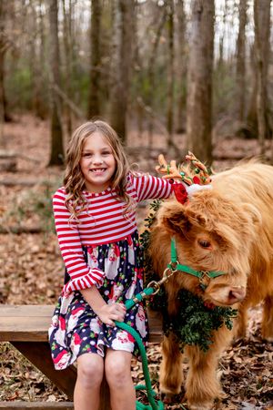 A smiling girl in a Christmas dress pets a fluffy Highland calf wearing reindeer antlers in a forest setting.