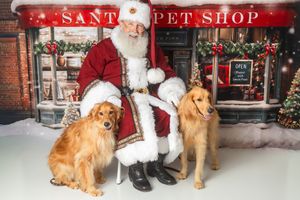 Santa Claus poses with two golden retrievers in front of a festive Santa Pet Shop backdrop with Christmas decorations.