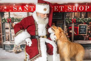 Santa Claus kneeling beside a golden retriever dog outside a festive pet shop decorated for Christmas.