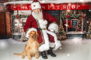 Santa Claus poses with a golden retriever dog in front of a festive Santa's Pet Shop storefront decorated for Christmas.