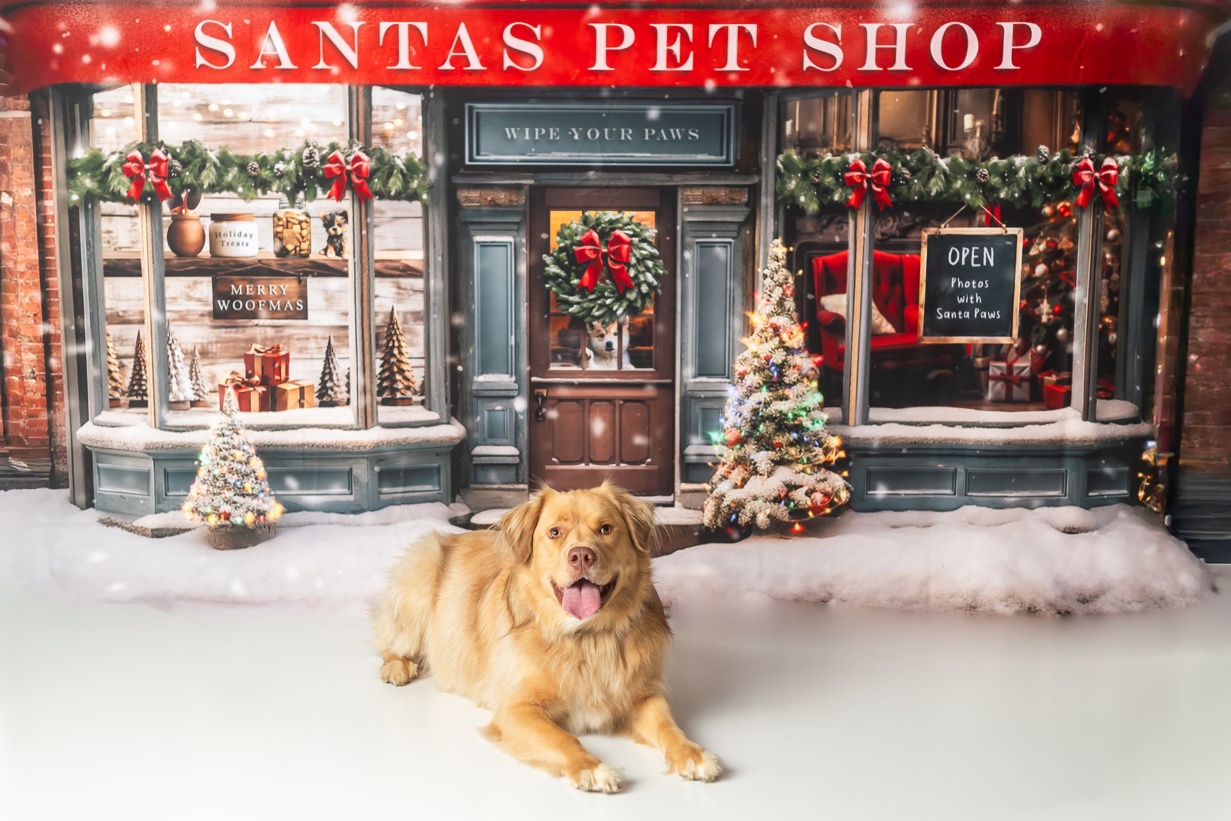 Golden retriever dog lying in front of a festive Santa's Pet Shop Christmas backdrop with holiday decorations.