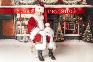 Santa Claus sits on a chair outside a festive pet shop decorated with Christmas trees and snow.