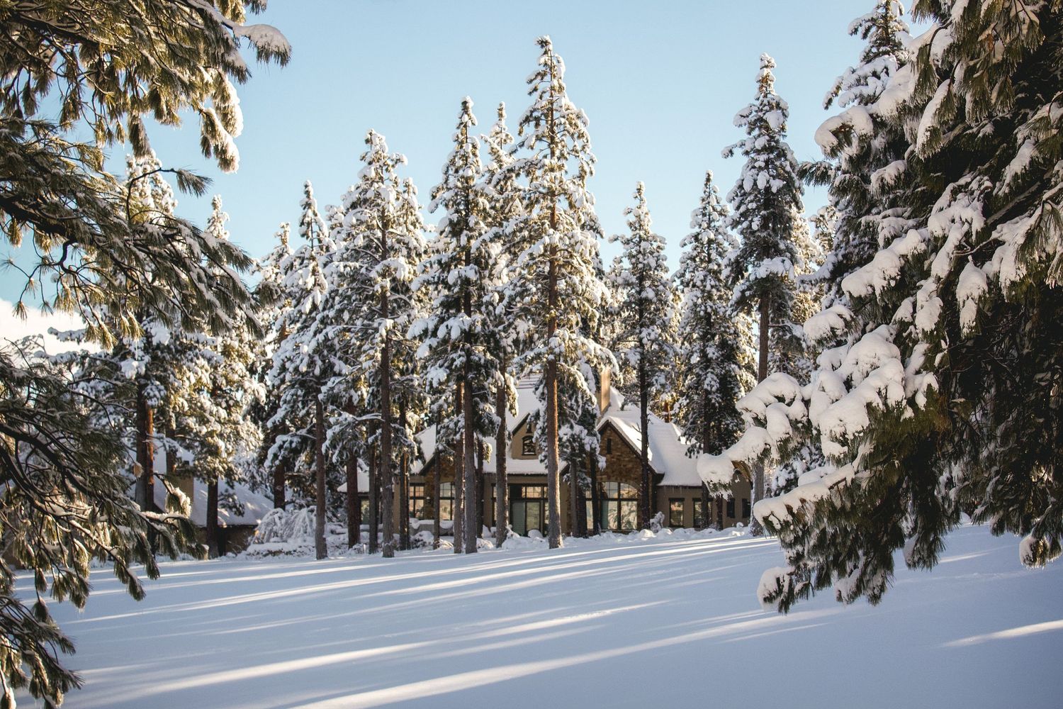 Winter in Montreux, Reno, Nevada near Lake Tahoe, California. Snow covered neighborhood, cabin house, pine trees, pine forest landsacpe.