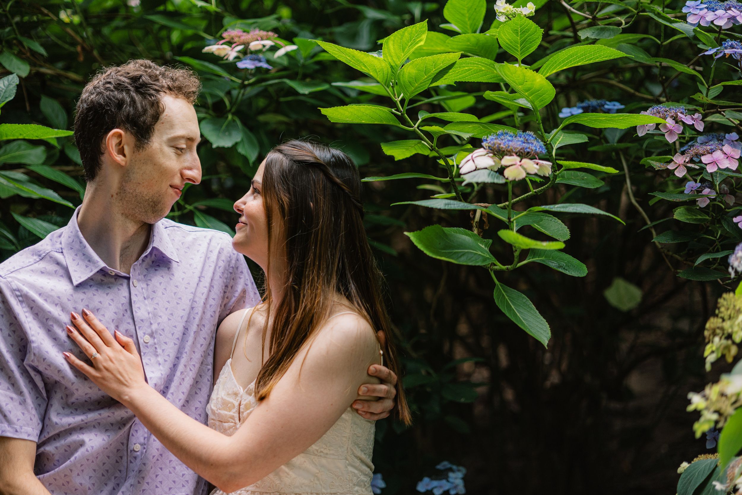 Couple sharing a tender moment surrounded by lush green hydrangea bushes in a garden setting.