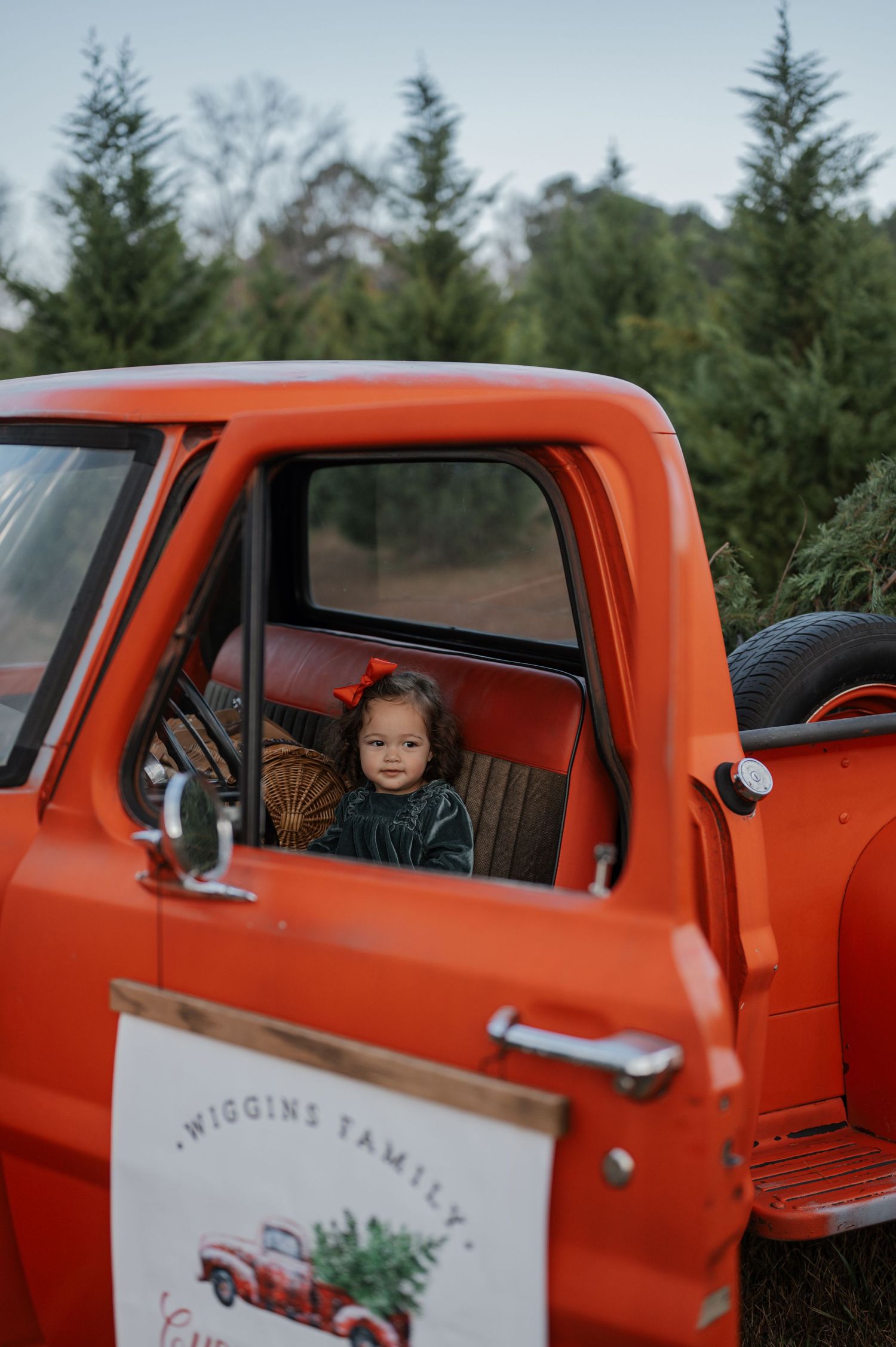 A small child sits in a vintage orange pickup truck decorated for Christmas tree shopping.