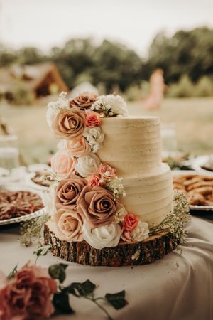 Michigan Wedding Photographer