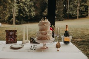 Michigan Wedding Photographer | Creative Art By Bree