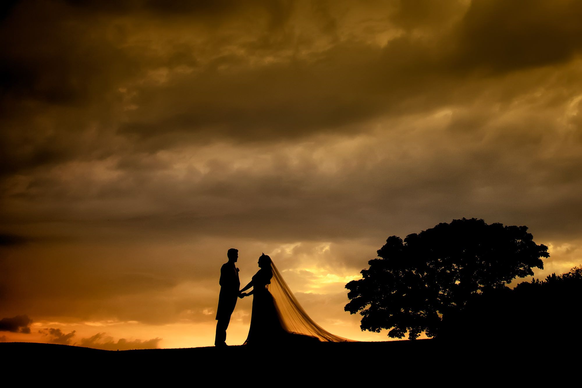 Silhouette of bride and groom holding hands at sunset with dramatic golden sky and lone tree backdrop.