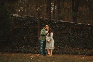 A series of intimate autumnal photos captured along a winding road with orange fallen leaves.