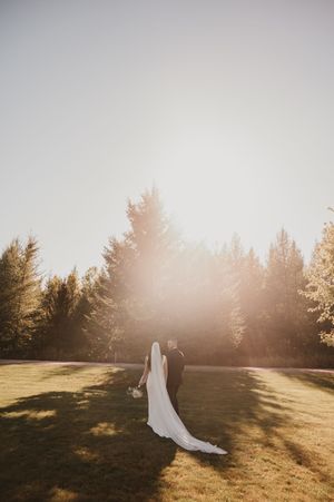 A newlywed couple walks across a sunlit meadow with evergreen trees in the background at golden hour.