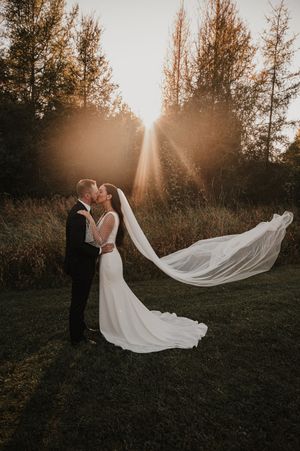 Dramatic sunset wedding photograph with flowing white veil and tall evergreen trees silhouetted in golden backlight.