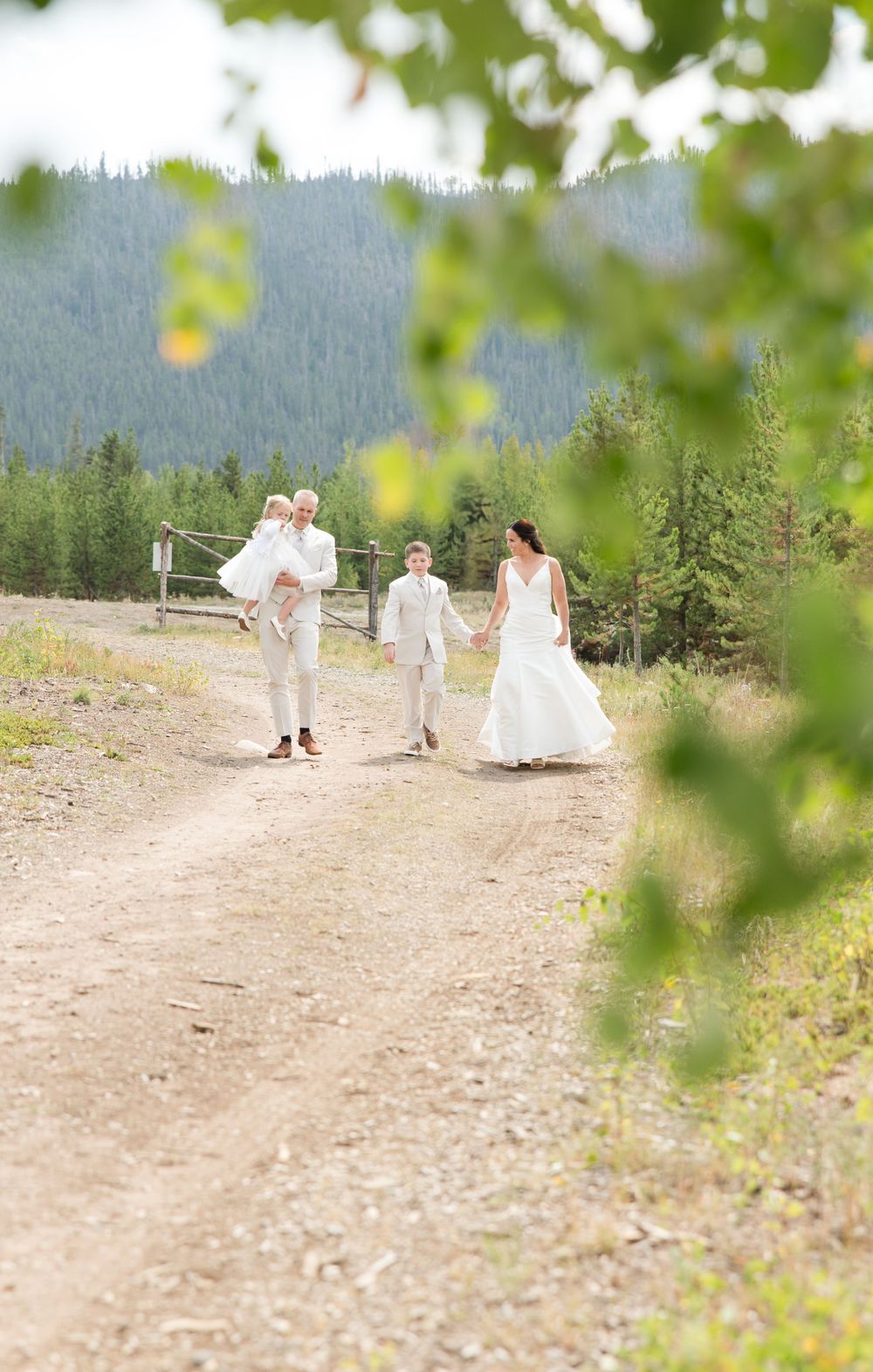 A wedding party walks down a scenic mountain path surrounded by evergreen trees and natural beauty.