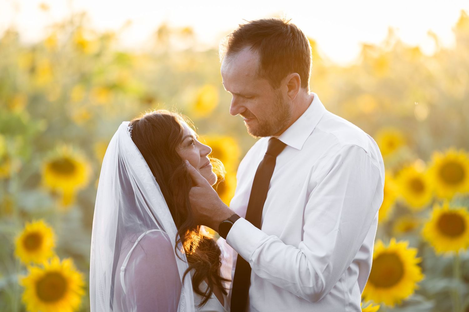 Couple embraces in a sunlit sunflower field during golden hour creating a romantic summer scene.