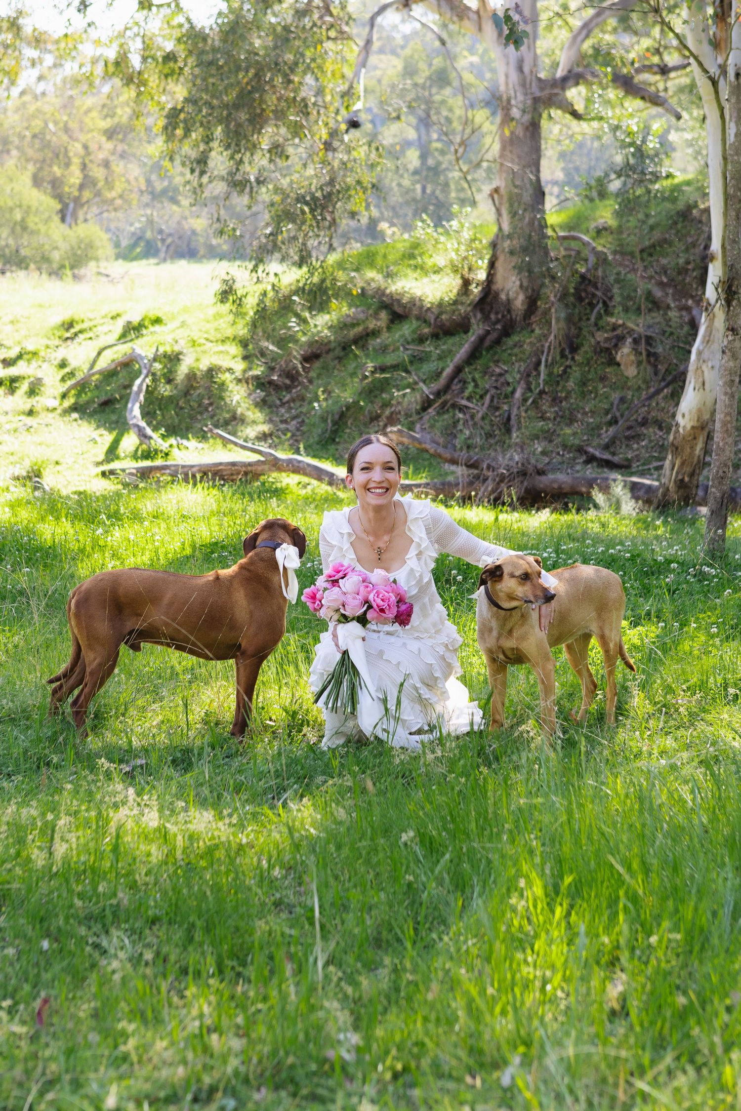 Bride with her dogs at Scone NSW Country Wedding