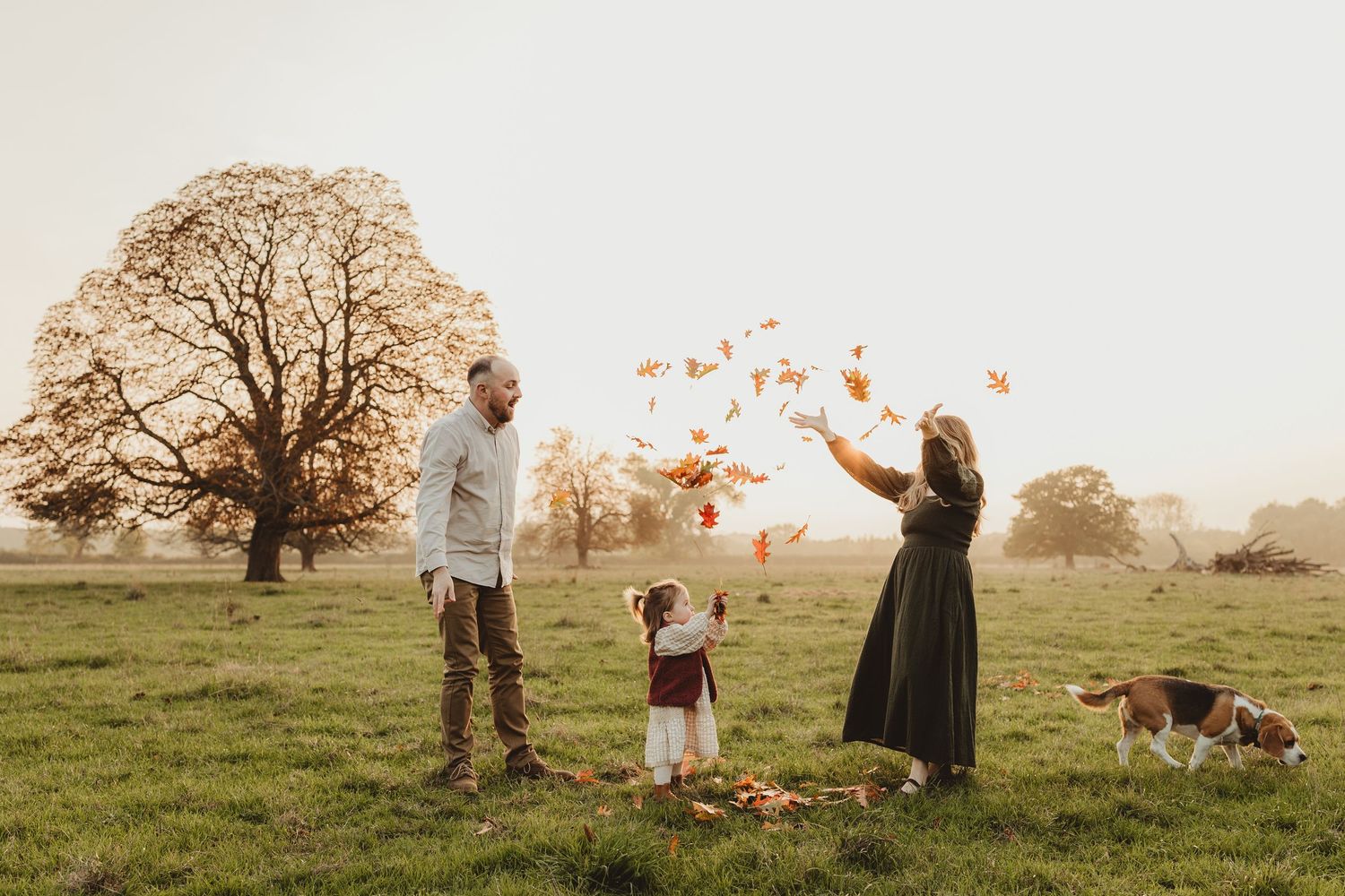 A group of people enjoy a fall picnic in a field with autumn trees and falling leaves at sunset.
