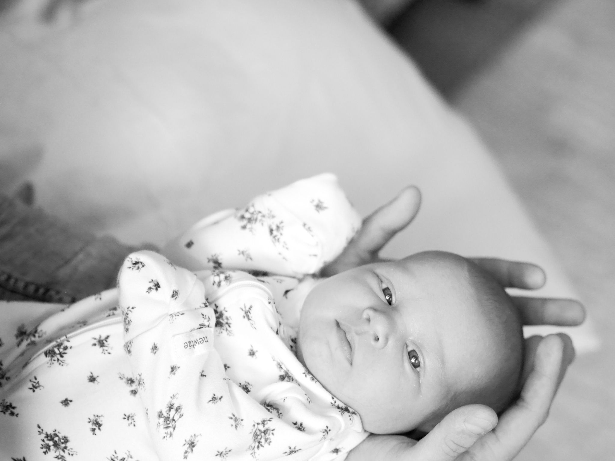new born kuvaus