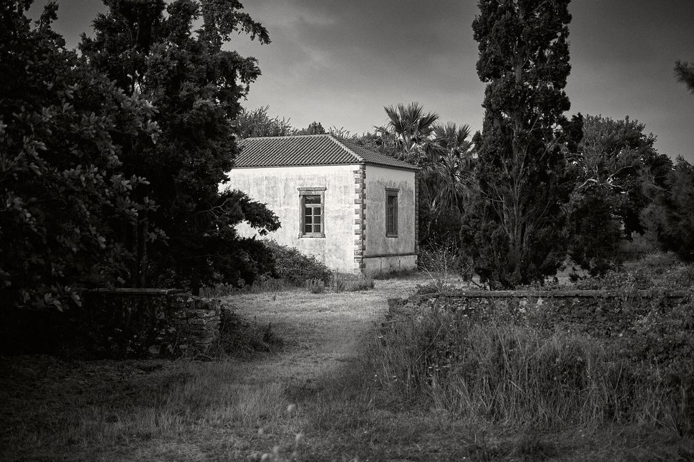 A black and white panoramic view of abandoned rural buildings and overgrown vegetation in a desolate landscape.