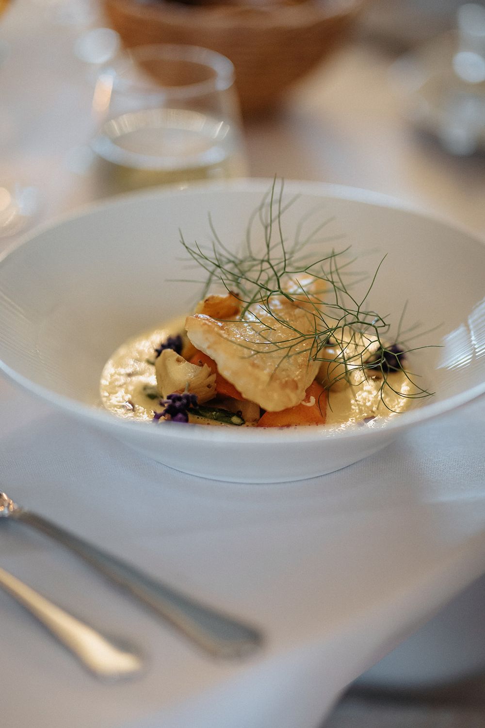 Elegant plated seafood dish garnished with fresh fennel fronds on white porcelain plates.