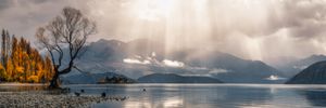 Panoramic view of lone autumn tree by mountain lake with dramatic sunbeams breaking through stormy clouds.