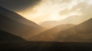 Golden light in the Molesworth Station.