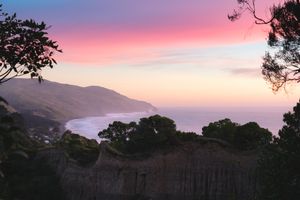 Stunning coastal sunset with pink and purple sky over ocean cliffs framed by silhouetted trees.