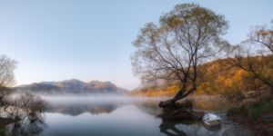Misty autumn lake at dawn with golden trees, calm reflective water, and mountain backdrop in soft morning light.