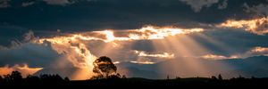 Dramatic sunset with golden crepuscular rays breaking through dark storm clouds over a silhouetted tree and landscape.