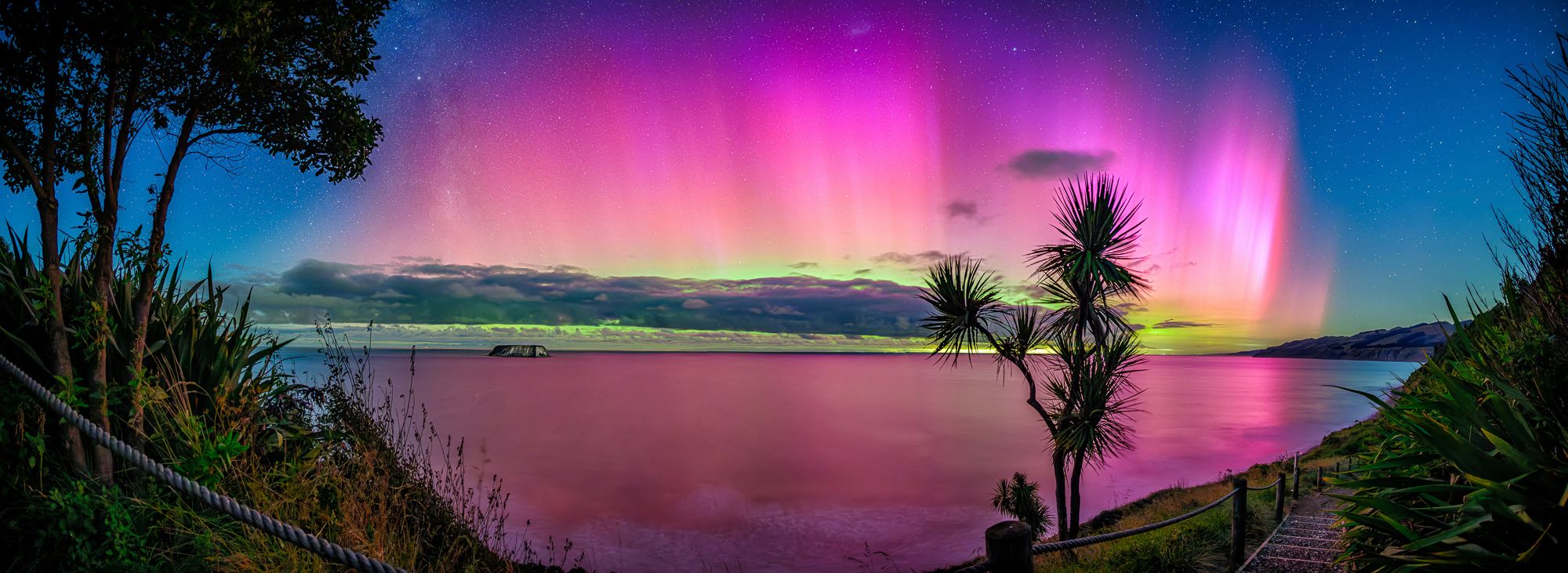 Stunning aurora australis display with vibrant pink and purple lights over a calm bay with silhouetted cabbage trees at dusk.