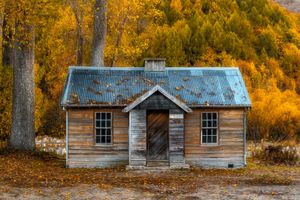 Rustic abandoned wooden cabin with corrugated metal roof surrounded by vibrant autumn foliage in golden hues.