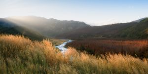 Sunset of the Clarance river. wilding pines in the landscape.