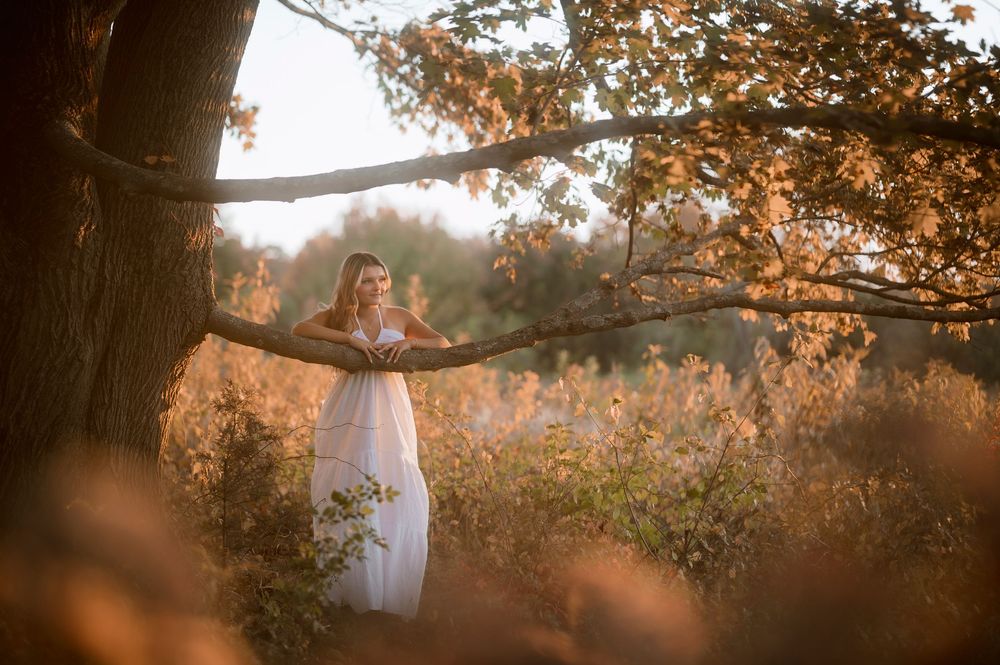 A romantic white dress hangs from a tree branch at sunset with warm golden light filtering through autumn leaves.