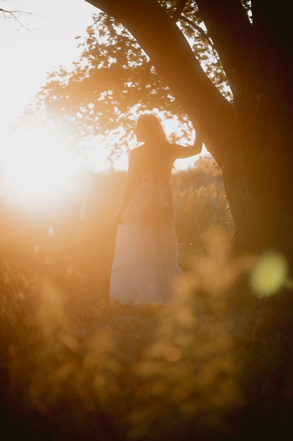 A silhouetted couple embraces in a dreamy golden sunset with lens flare and trees creating a romantic atmosphere.