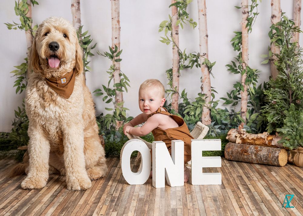 A goldendoodle dog sits next to white 'ONE' letters in a woodland-themed photo setup.