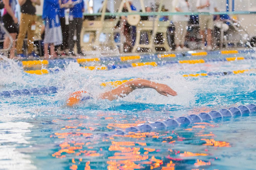 Competitive swimmer doing freestyle stroke in a pool during a race with lane markers visible.
