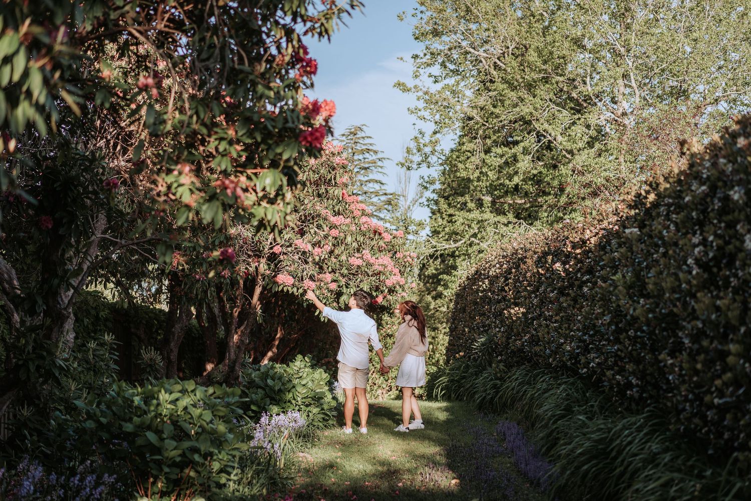 Two figures stroll along a charming garden path lined with flowering bushes and hedges.