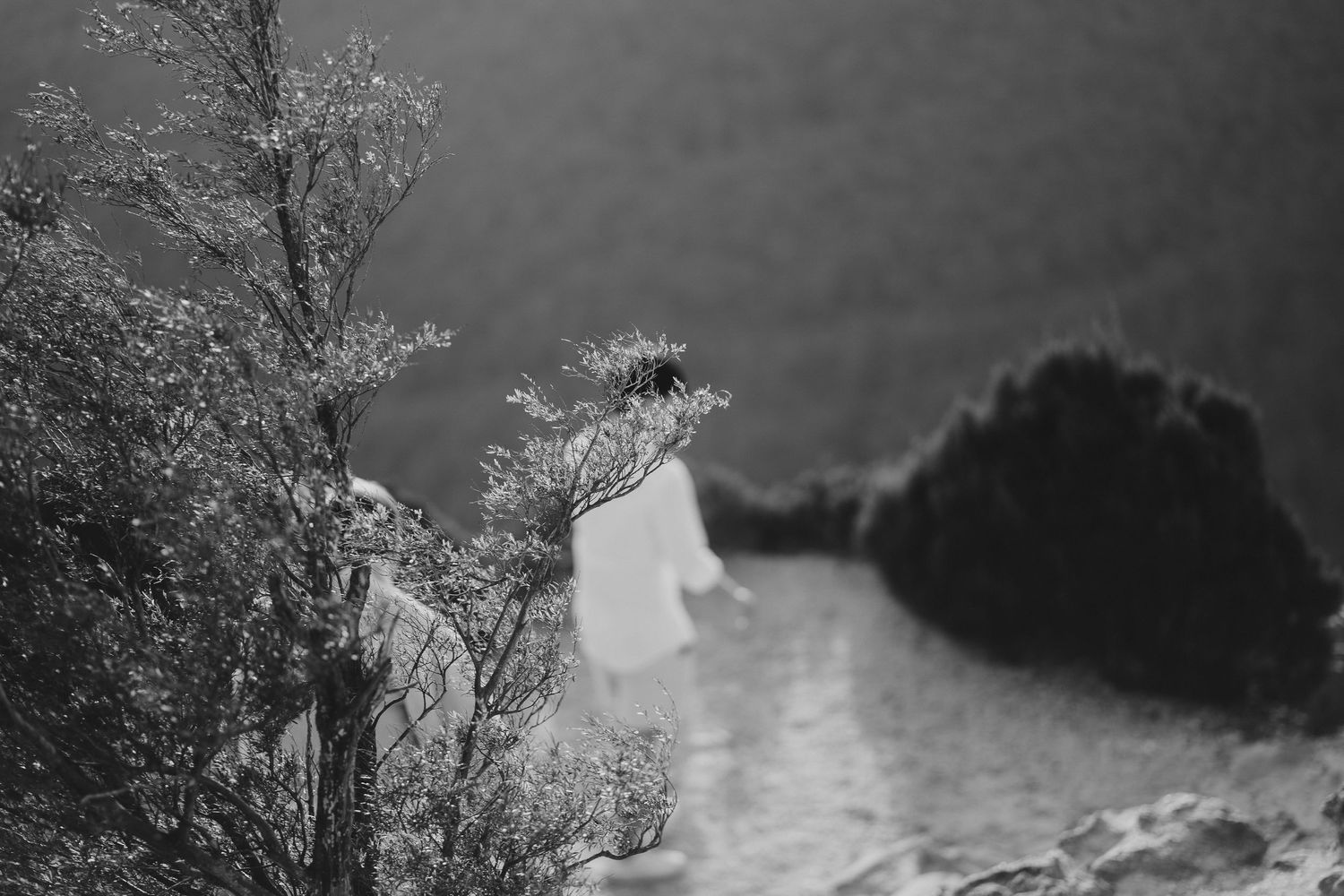 A black and white scenic view of a rocky cliff overlooking a misty valley.