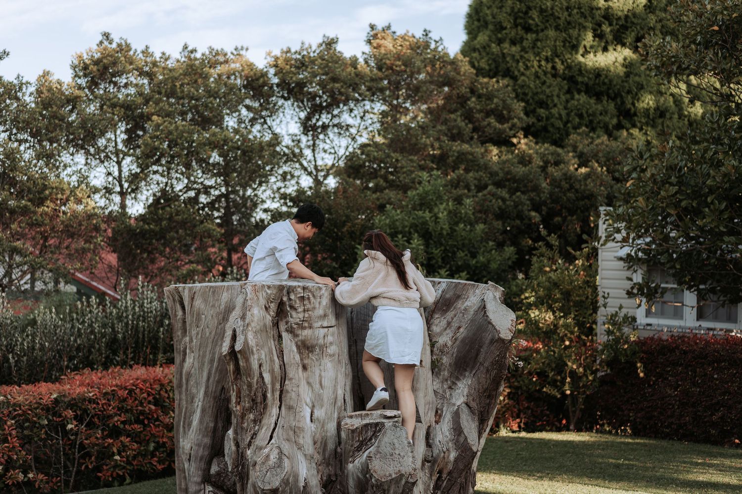 Two people climb on a massive tree stump in a garden surrounded by trees and shrubs.