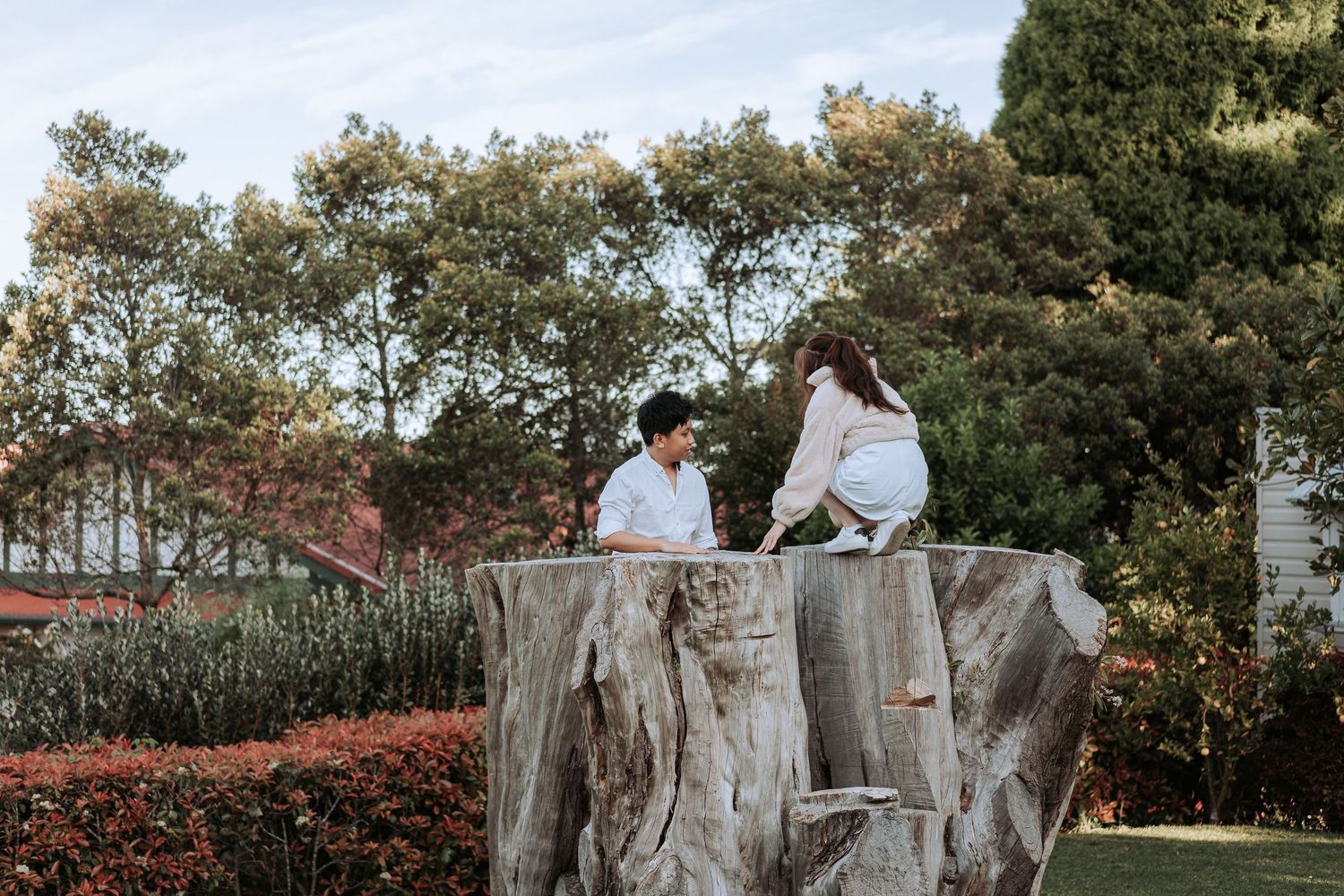 A couple shares an intimate moment while sitting atop a large weathered tree stump in a garden setting.