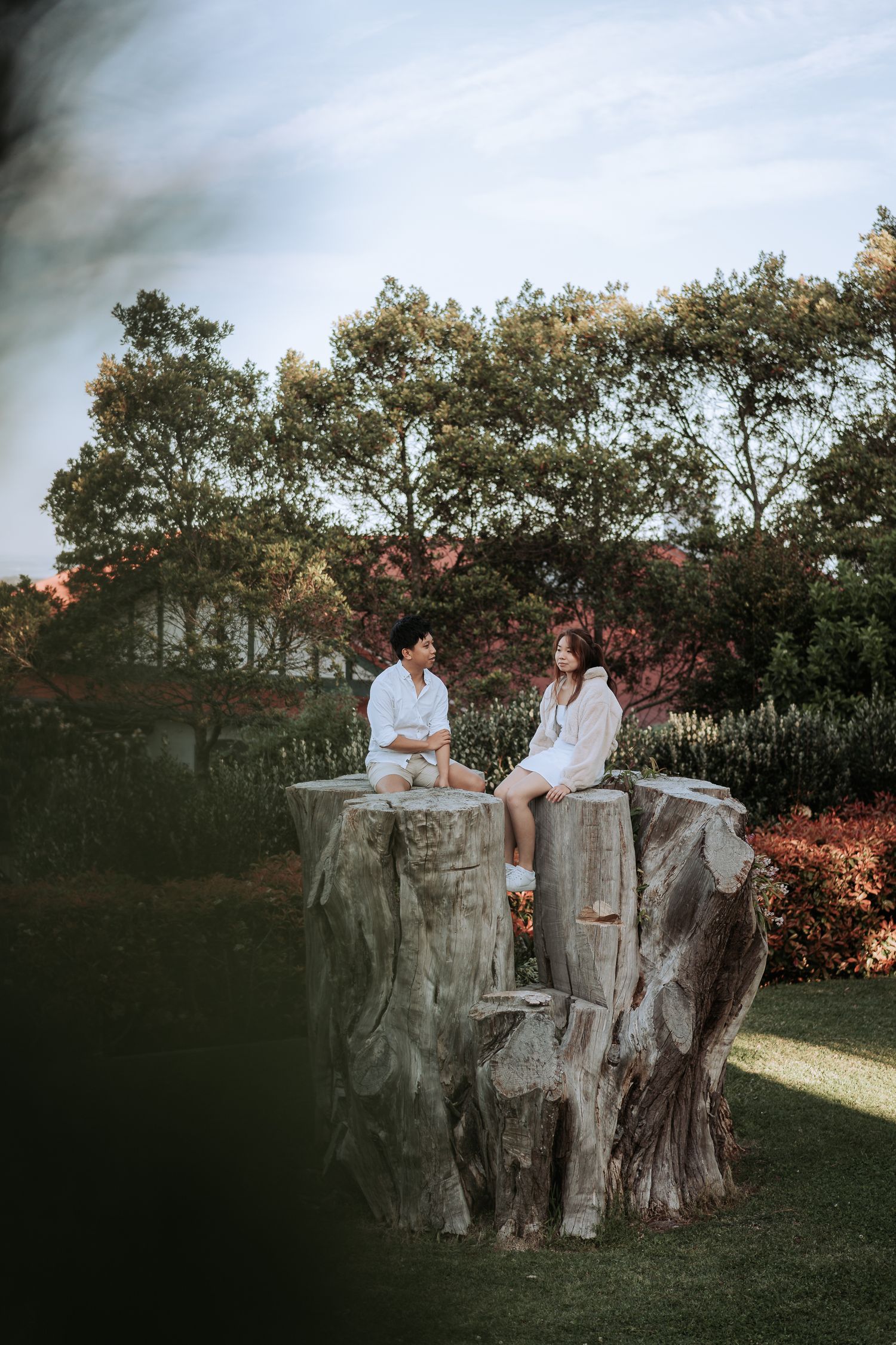 A couple in white outfits sits on a large tree stump in a garden during golden hour.