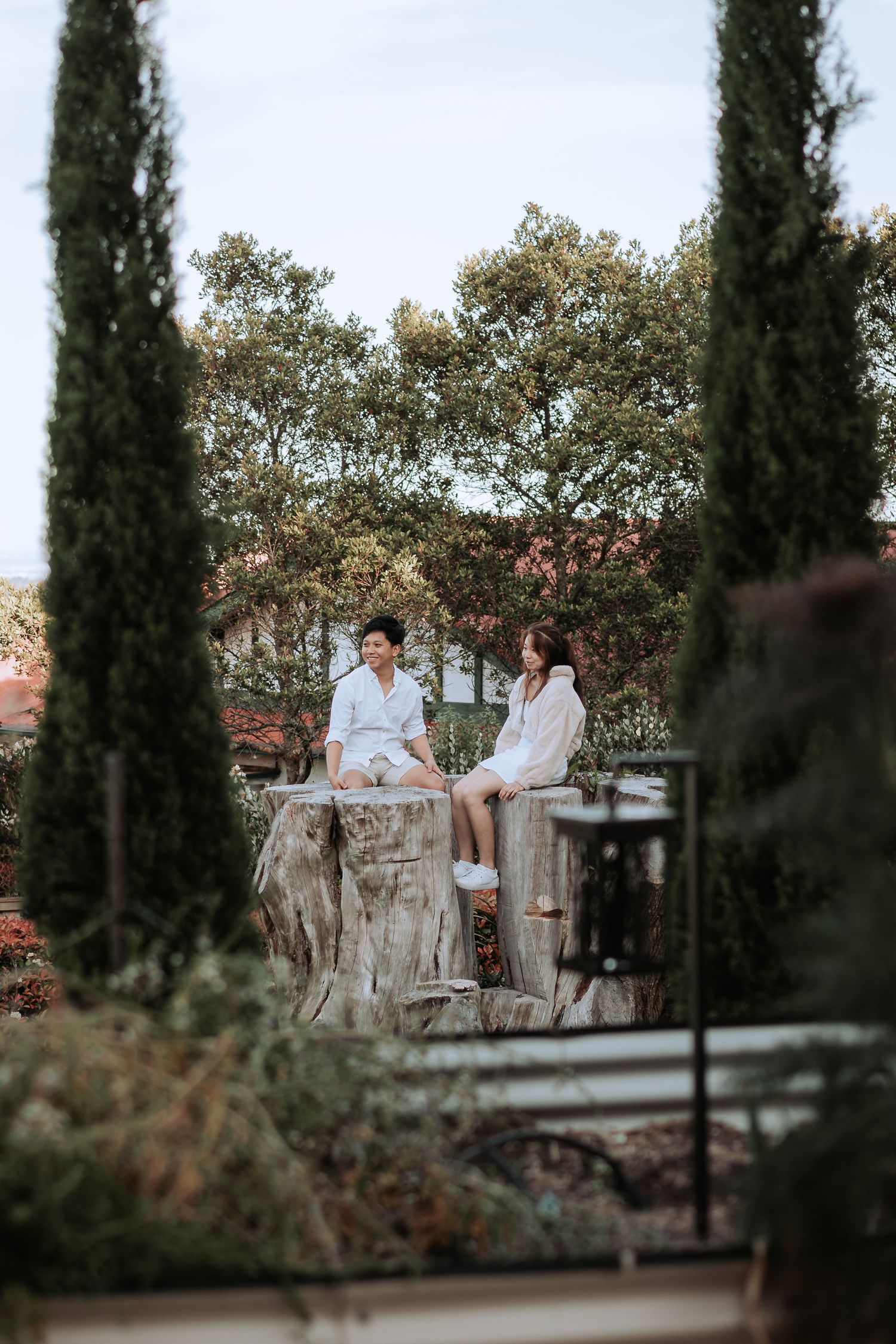 Two people perch on a weathered tree stump framed by cypress trees in a garden setting.