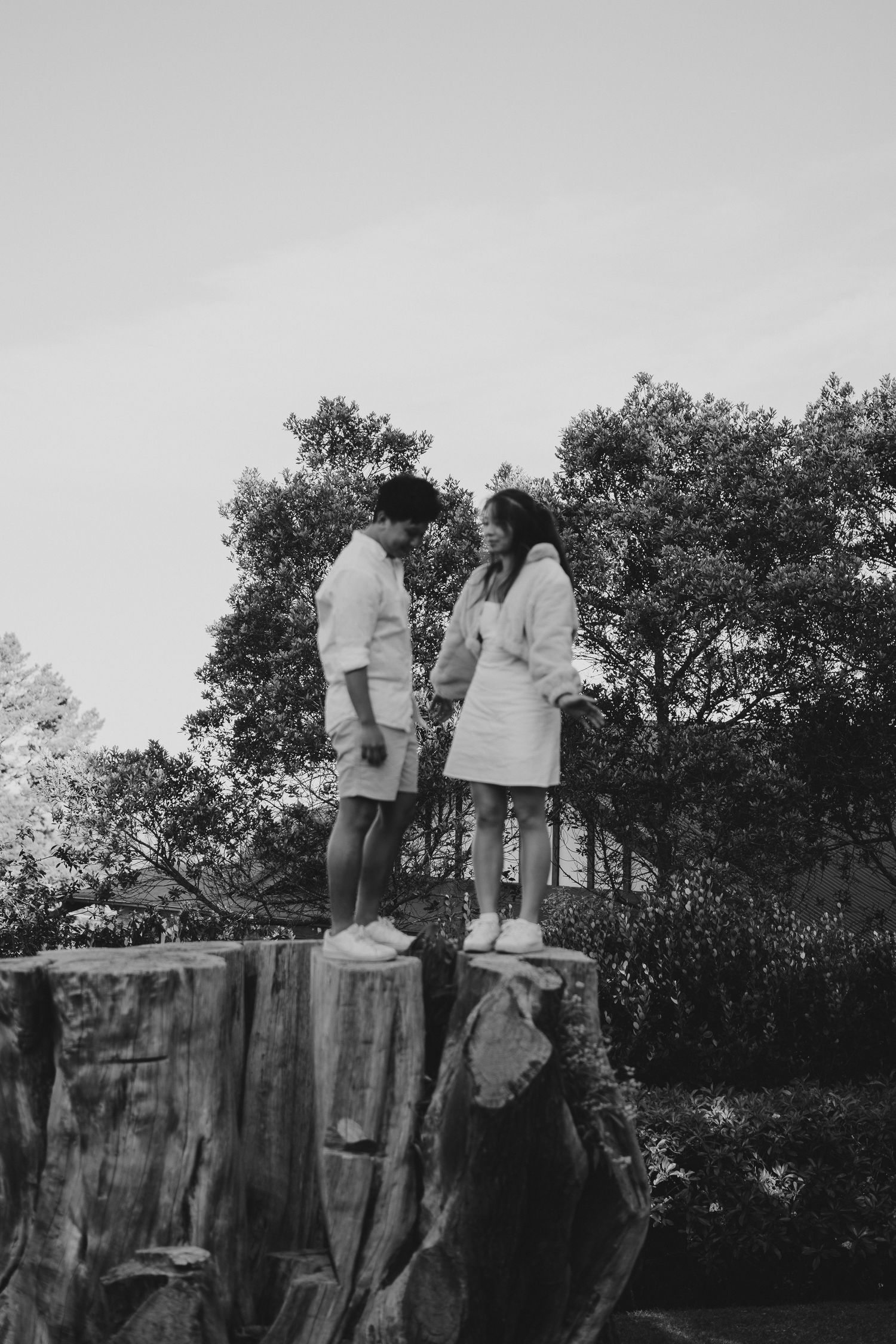 A black and white photo of two people standing on a giant tree stump in a garden.