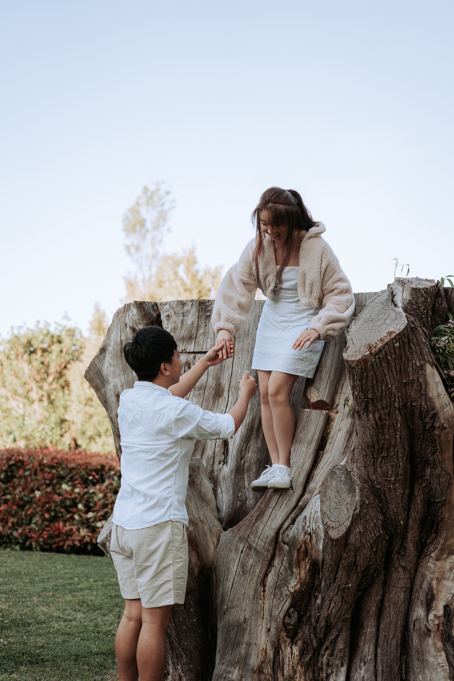 Two people interact playfully on a large tree stump in an outdoor garden setting.