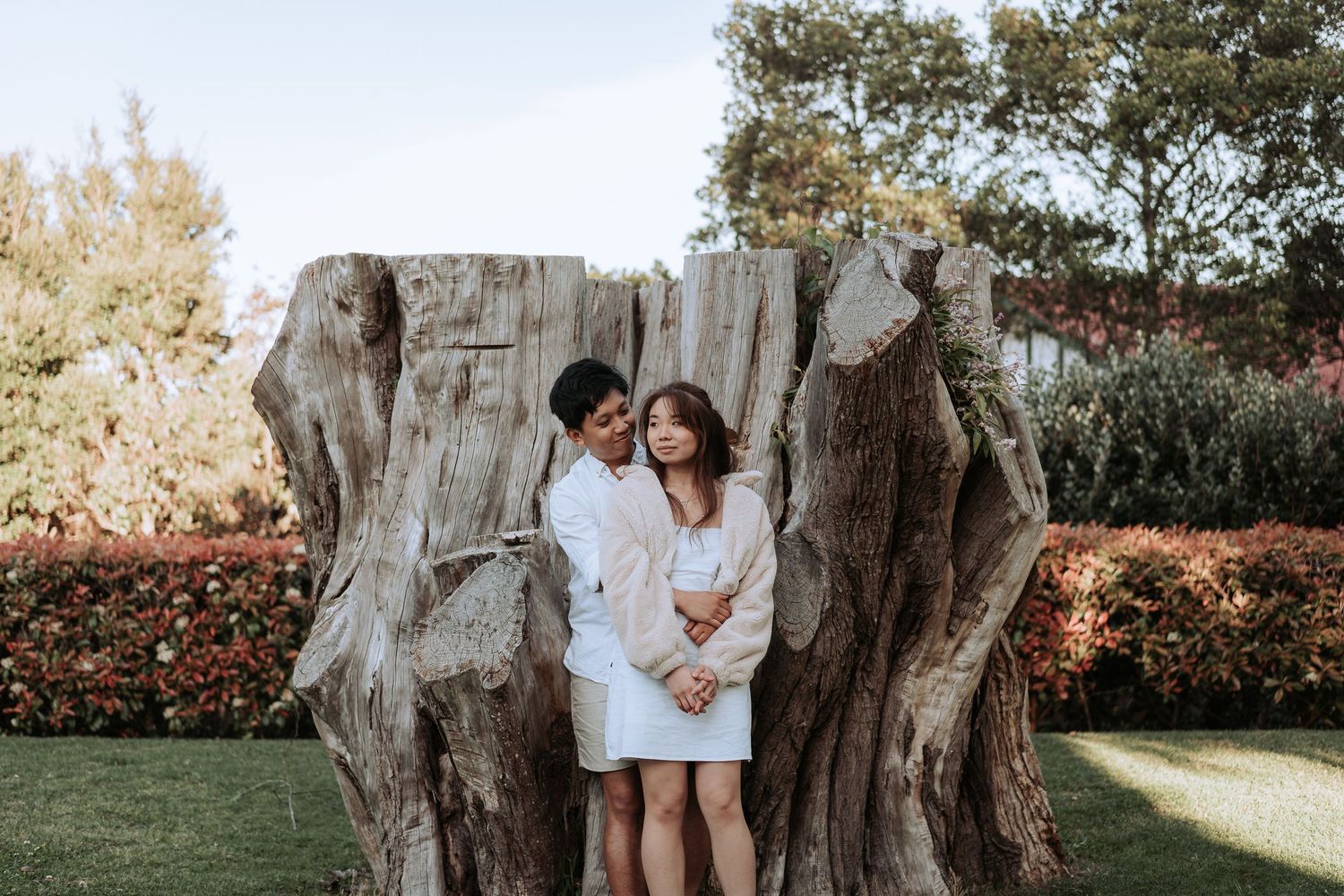 A couple embraces while standing in front of a massive weathered tree stump.