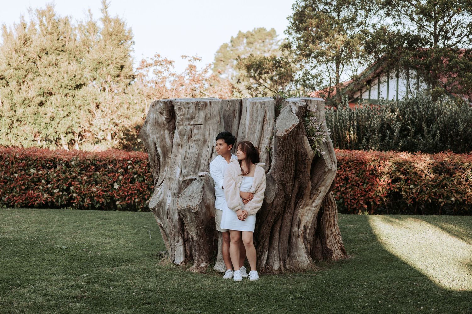A natural outdoor garden scene with a large tree stump and decorative landscaping on a grassy lawn.